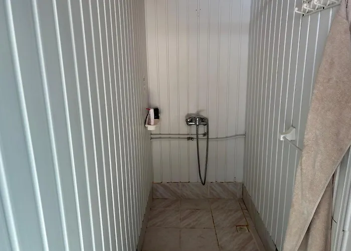 Orizont קוסטינסטי