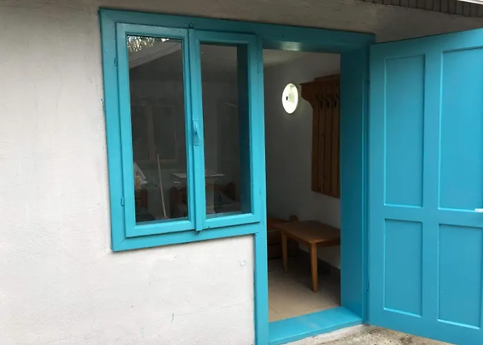 Orizont * קוסטינסטי