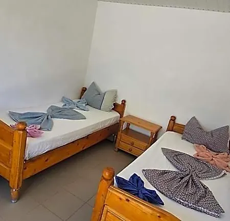 Orizont 科斯蒂内什蒂